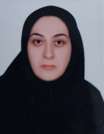 مریم امینی