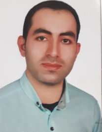 حامد سیفی زاده آرانی