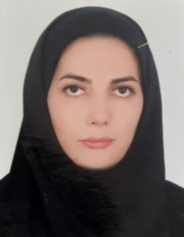 سیده نشمین صادقی