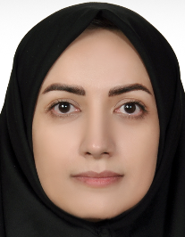 مریم سلیمانی حمیدی نژاد