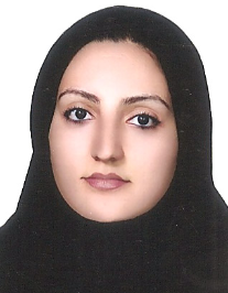 شفق فریدی