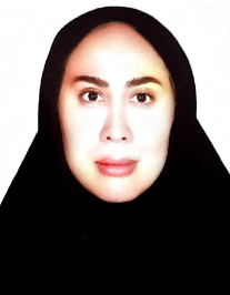 زینب محمودی اصل