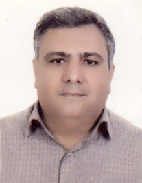 مجتبی انصاری