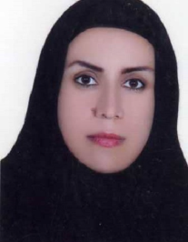 صفورا صادقی مزیدی