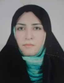 مرضیه میرحسینی