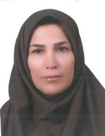 نرگس سلیمی نیا