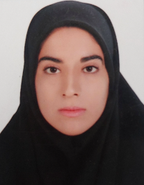 مینا نزل آبادی