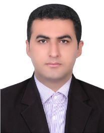 هادی انصاری