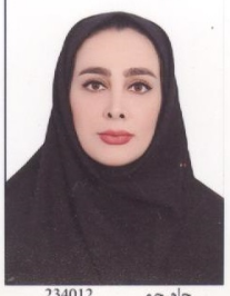 مریم افضلی