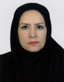 اعظم زوار