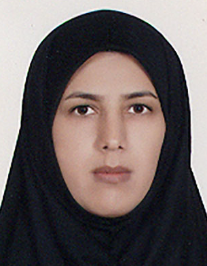 نرگس شمسی