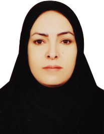 ریحانه سادات باقری