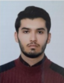 سالار حسن قلی زاده