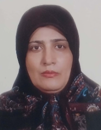معظم رضایی مقدم