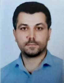 هادی تیموری