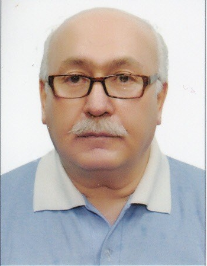 میر محمود سید ولیلو