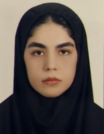 نگین ملک زاده افشار