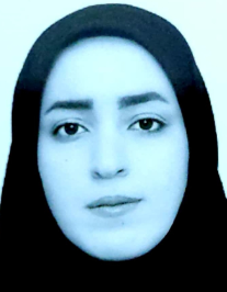 سمیه مهدی زاده ازدین