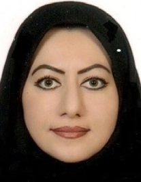 ترکان دیلمقانیان