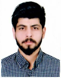 داود ملک محمودی