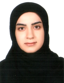 نرگس مفیدی