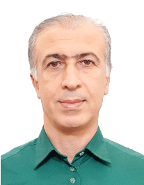 سیدحسین حسنی