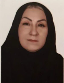 مینا شاپوران