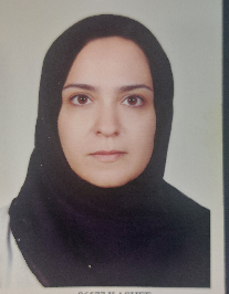 رویا سادات گرامی