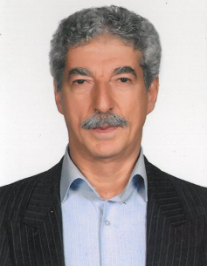 علی اصغر شاهرضائی