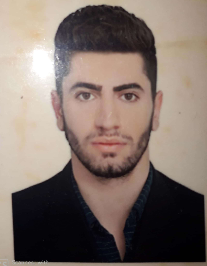 آریا امینی
