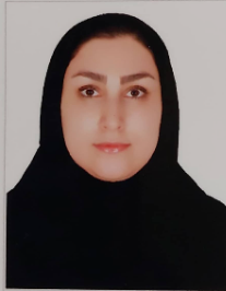 مائده محدث