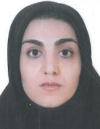 پروین محمدنیاء