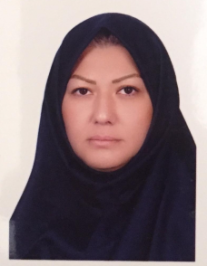 نیر ساری مطلق