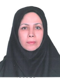شراره ولی زاده