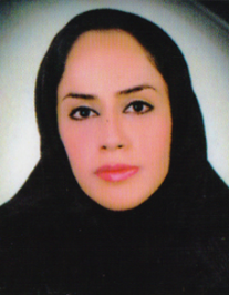 توکتم طیبی