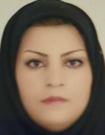 سیده طیبه احمدی زاده