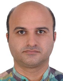 هادی مهدوی