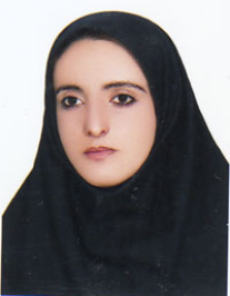 سیده نرگس میراحمدی باباحیدری
