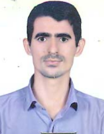 هادی محمدی مزیدی