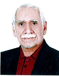 سیدمحمد حبیبی
