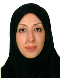 آرزو خیری حبیب آبادی
