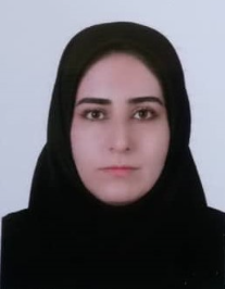 پریسا امیری