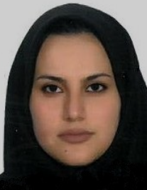 رضوان بیرانوند