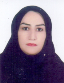 فهیمه مؤمن