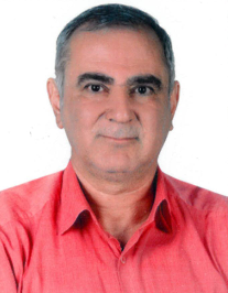محمدحسین علیئین