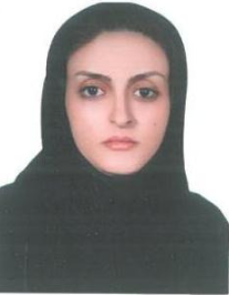 نیر سلیمی