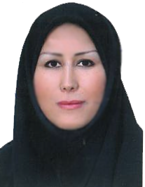 منیر السادات نوابی