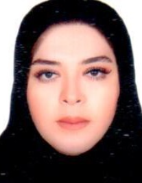 آرزو رفیعی