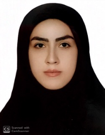 مهلا سلیمانی