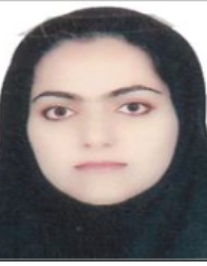 عنایل منطقی مقدم
